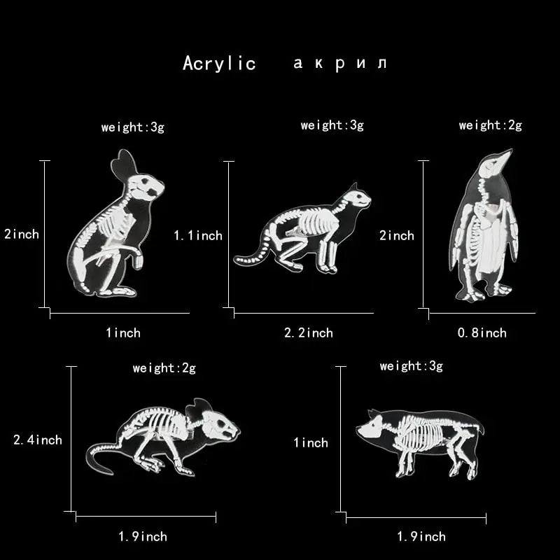 Animal Skeleton acrylic pin Cat pig rabbit penguin bird rat