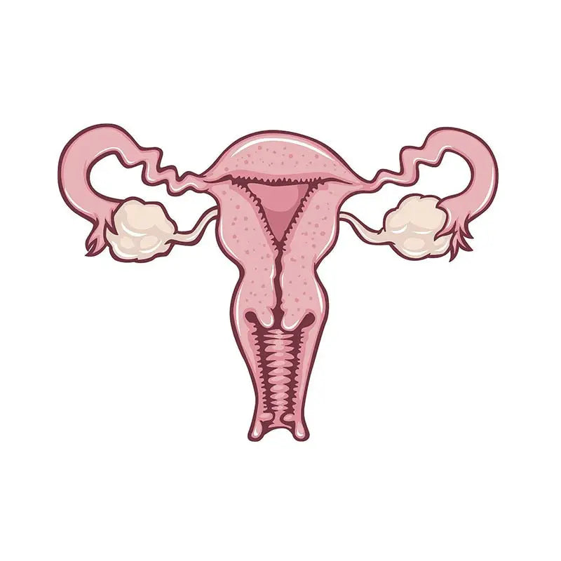 Female Womb uterus Enamel Pin